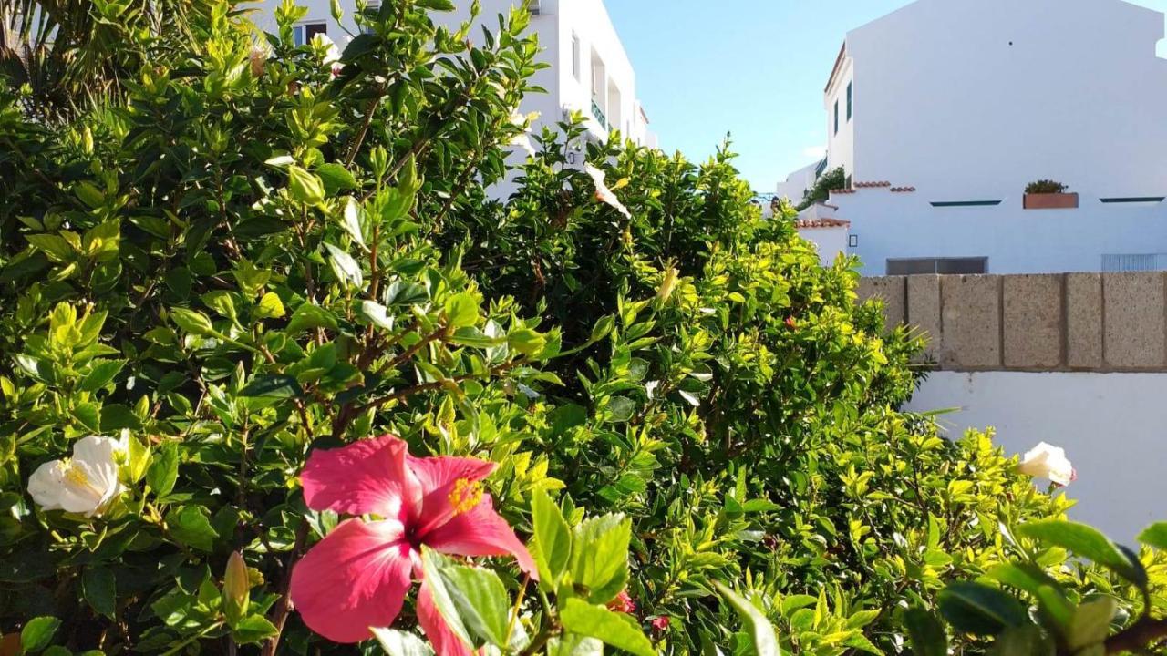Parque Don Jose, Casa Antonella Leilighet Costa Del Silencio Eksteriør bilde